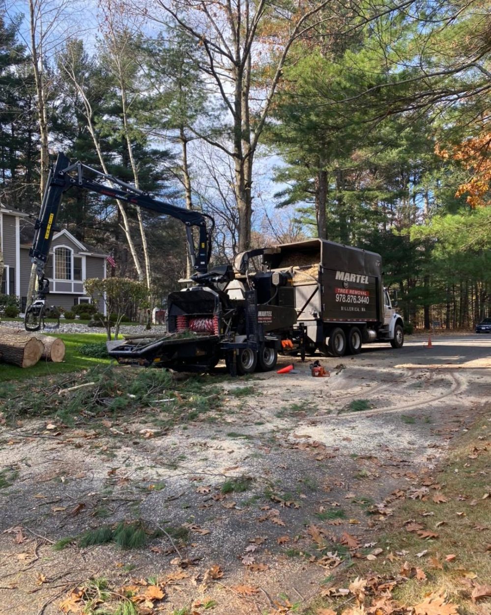 Tree removal in Andover, Massachusetts