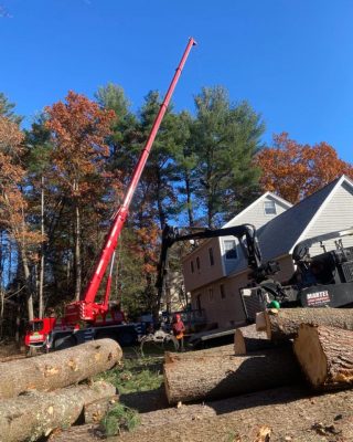 Lot Clearing for an addition in Tyngsboro, MA