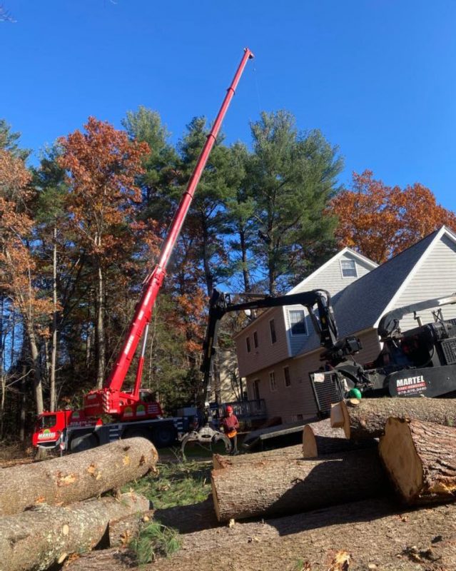 Lot Clearing in Tyngsboro, MA