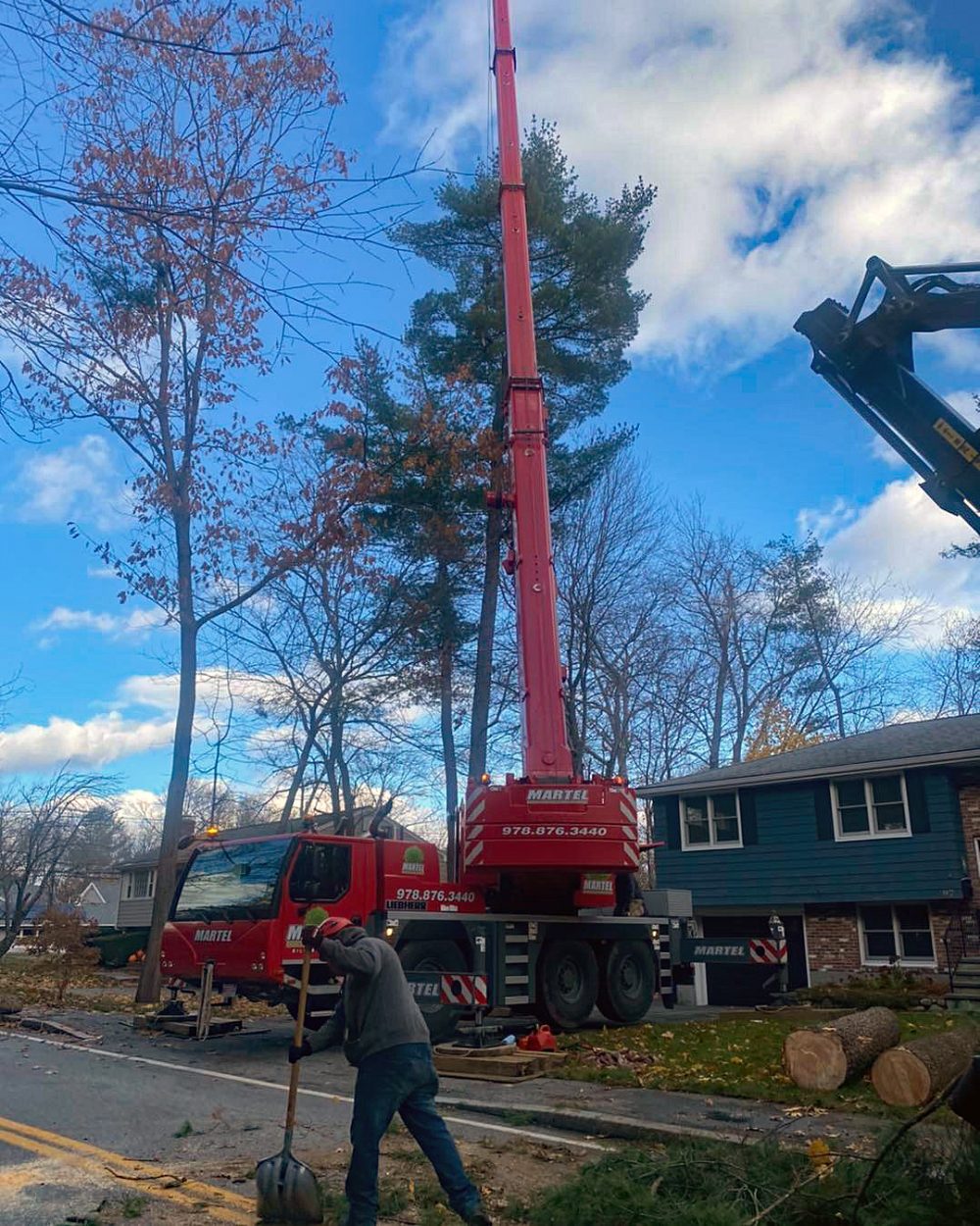 Tree removal in Bedford, MA by Martel Crane Service & Tree Removal.