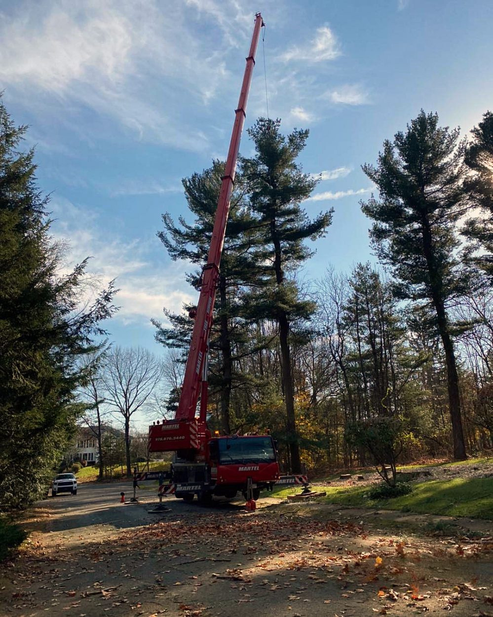 Tree removal in Andover, MA. Our red crane removing a tree.