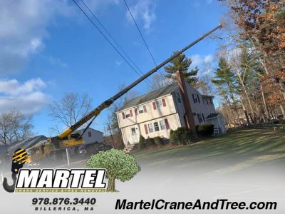Martel Crane Service & Tree Removal in Burlington, MA