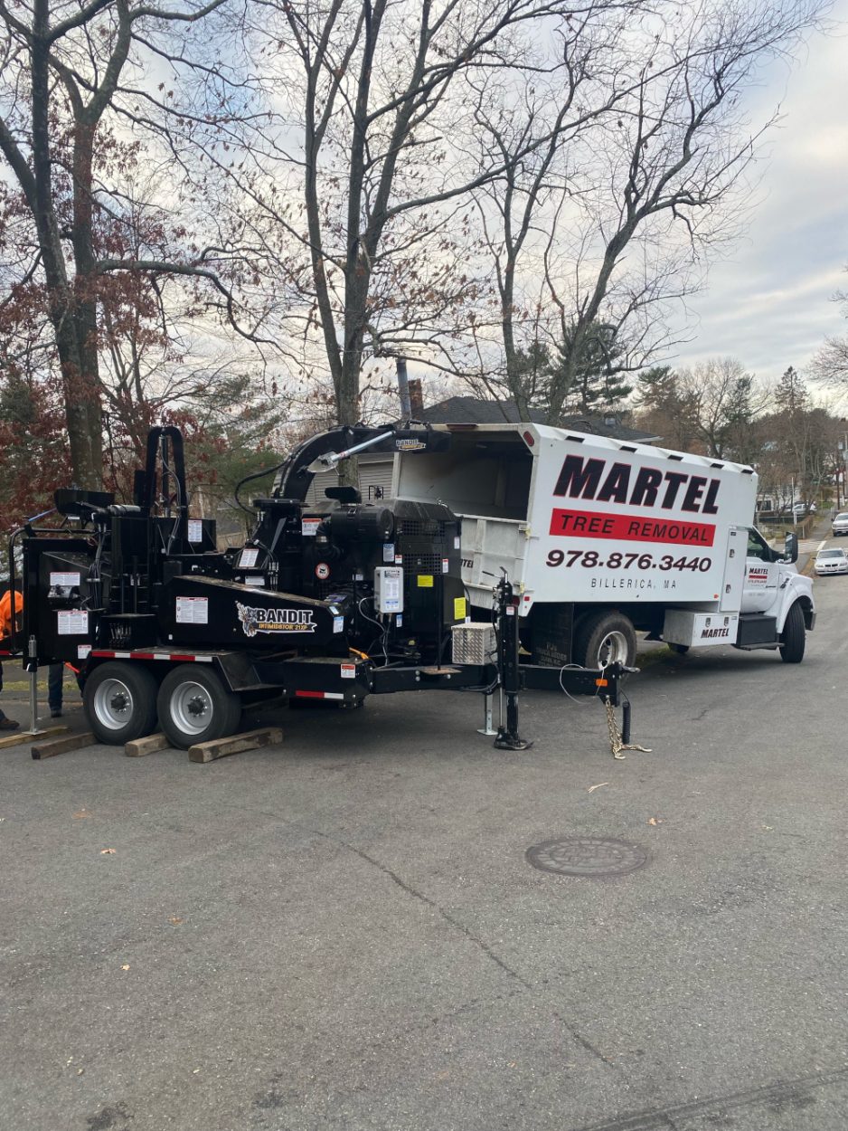 Tree Removal and Crane Service in Billerica, MA.