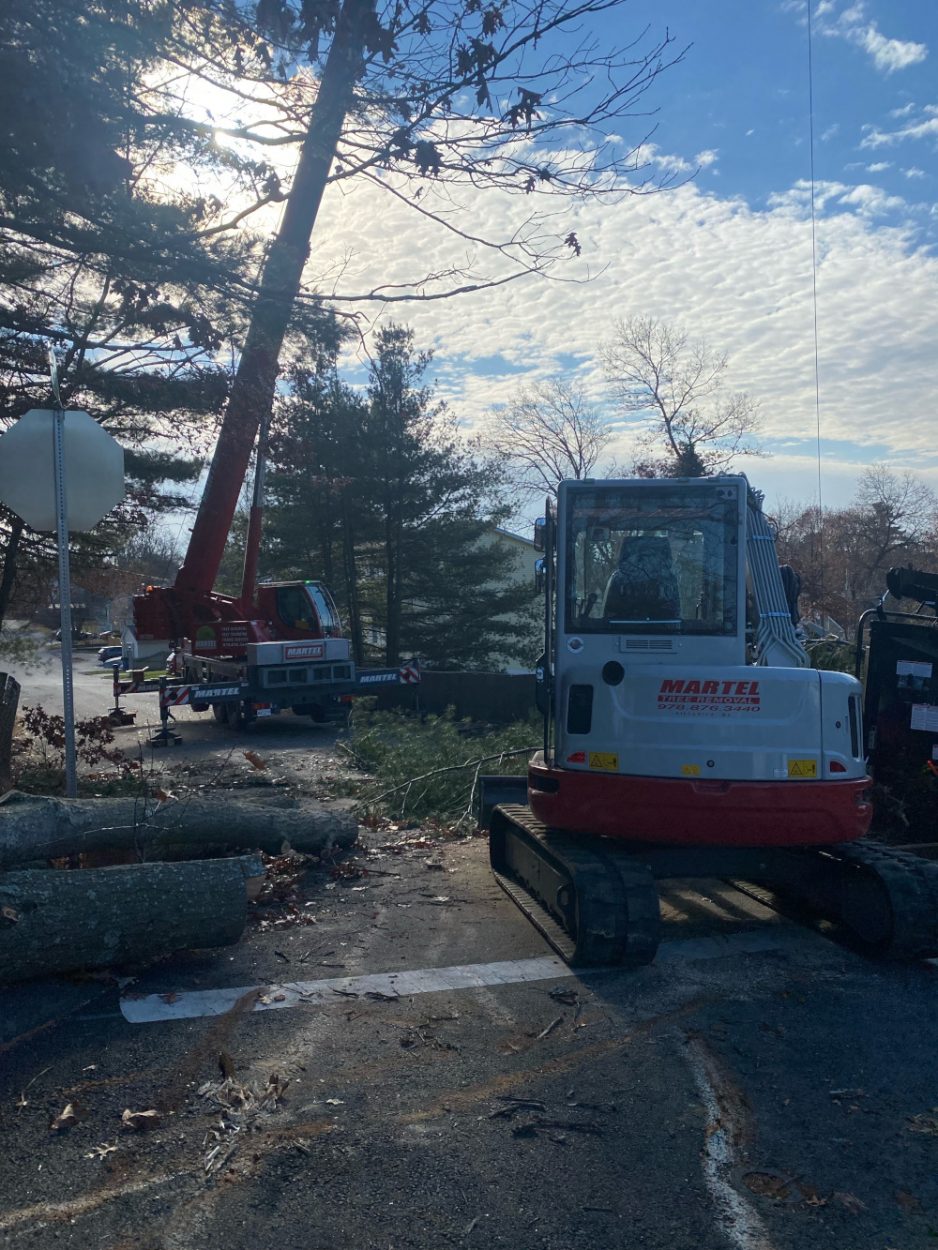 Tree Removal and Crane Service in Billerica, MA.