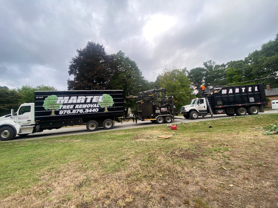 The crew from Martel Crane & Tree removed multiple hardwoods from this property in Chelmsford, MA.