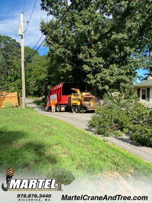 Emergency Tree Removal and Service from a storm in Billerica, MA.