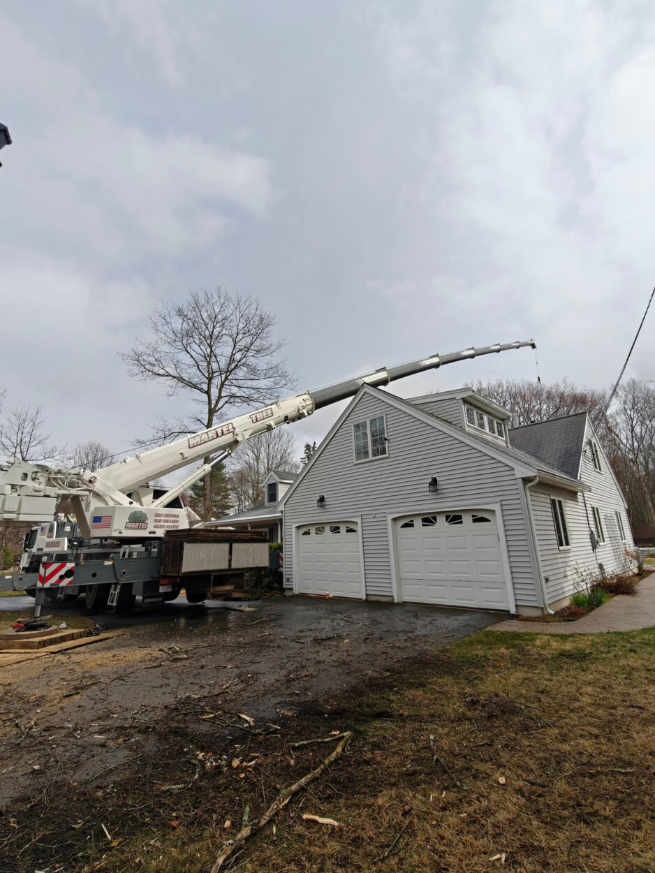 Tree Removal & Crane Service in Bedford, MA