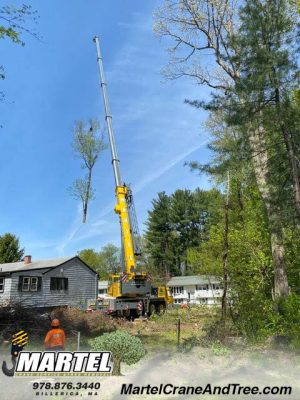 Yard Expansion Project in Billerica