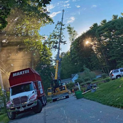 Tree Removal and Service in Billerica, MA