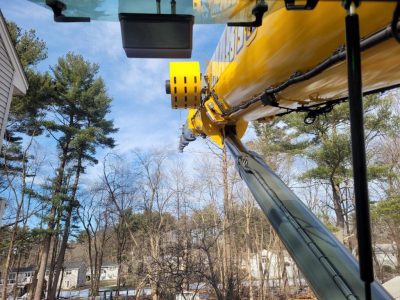 Stretching for some trees in Burlington, MA