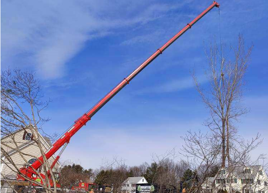 Tree Removal and Crane Service in North Billerica, MA