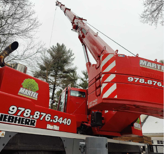 Tree Service and Removal in Chelmsford, MA