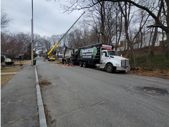 Tree Removal and Service in Lowell, MA.