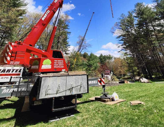 Tree Removal in Westford, MA.