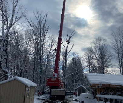 Tree Removal Service in Westford, MA.