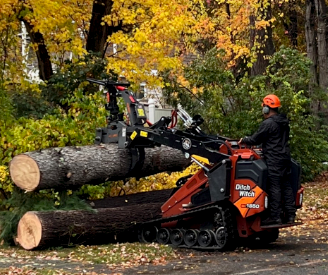 Tree Removal and Cleanup in Billerica, MA.