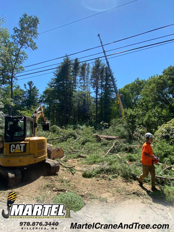 Chelmsford lot clearing by Martel Crane Service & Tree Removal