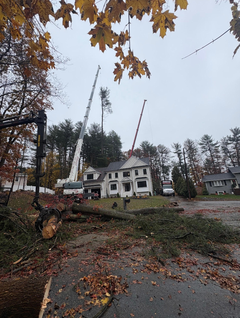 Crane Service & Tree Removal – Burlington, MA Crane Service & Tree Removal – Burlington, MA