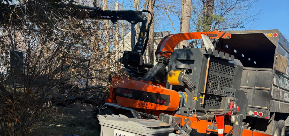 Tree Removal and Crane Service in Salem, NH