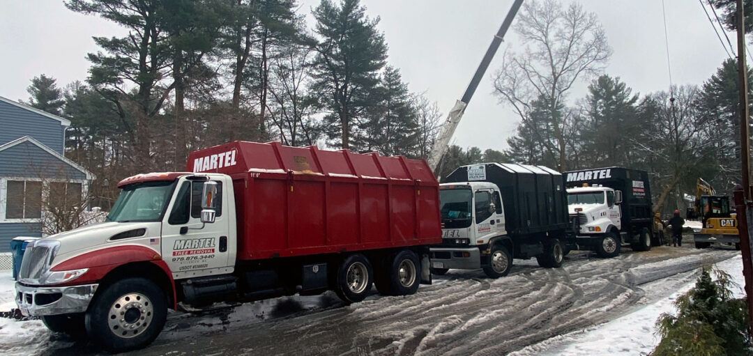 Tree removal on snowy day in Tewksbury MA