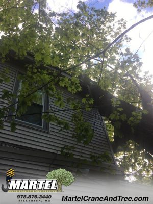 Storm damage in Dracut, MA