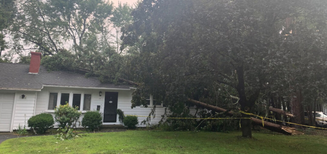 Emergency Storm Damage and Tree Service in Chelmsford, MA.