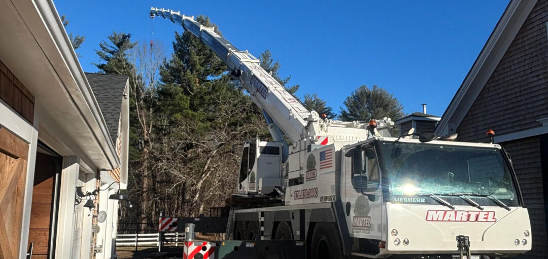 Tree Service and Tree Removal in Bedford, MA