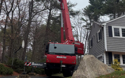 Tree Removal Service in Westford, MA