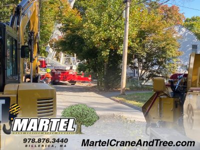 Tree Removal / Tree Service / Crane Rental in Arlington, MA