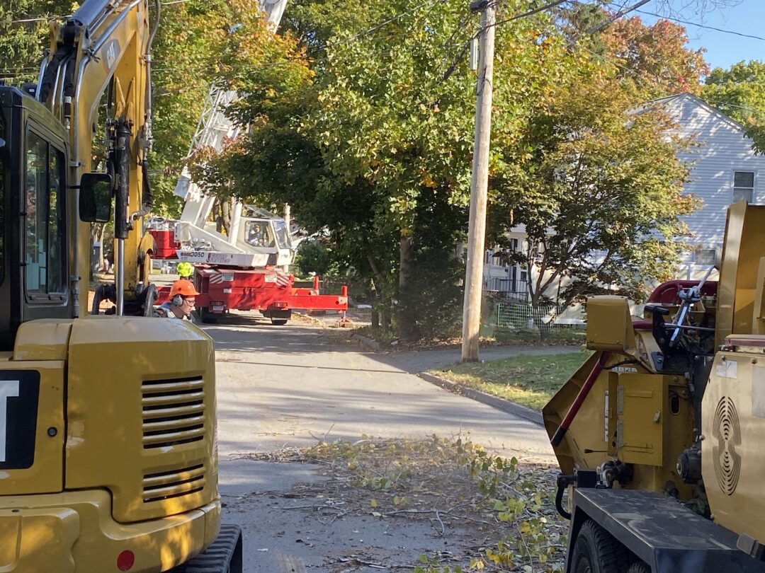 Efficient Large Tree Removal in Arlington, MA by Martel Crane Service & Tree Removal