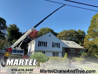 Tree Service / Tree removal / Crane Service in Winchester, MA