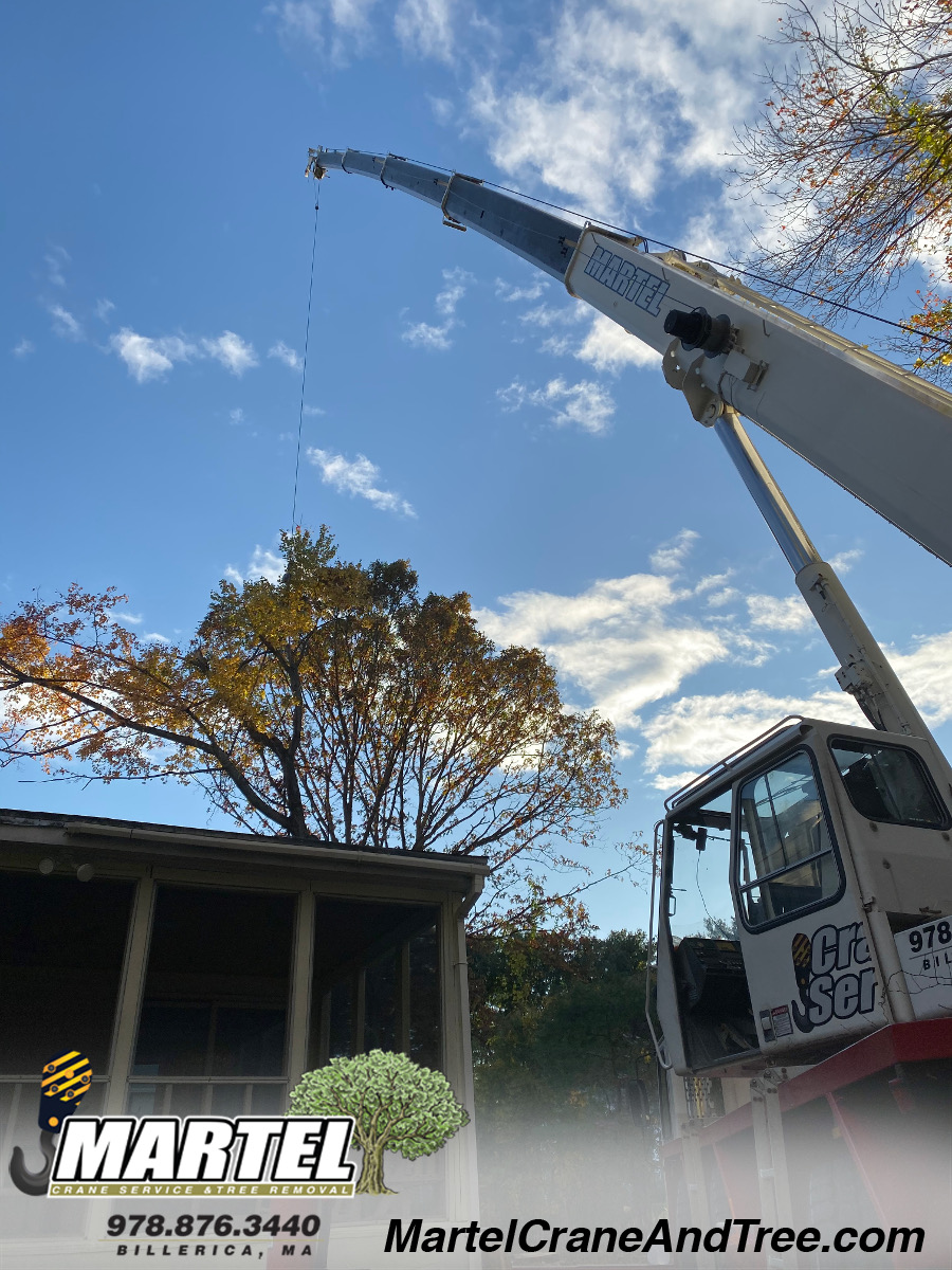 Tree Service / Tree Removal / Crane Service in Burlington, MA