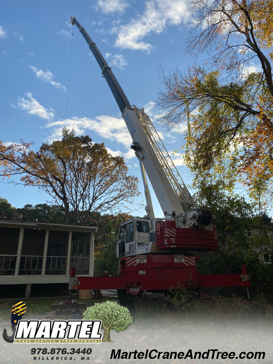 Tree Service / Tree Removal / Crane Service in Burlington, MA