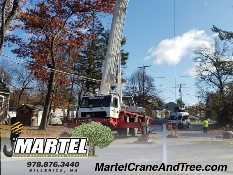 Tree Removal / Tree Service / Crane Service in Dracut, MA