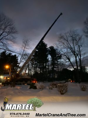 Tree Service / Tree Removal / Crane Rental in Chelmsford, MA