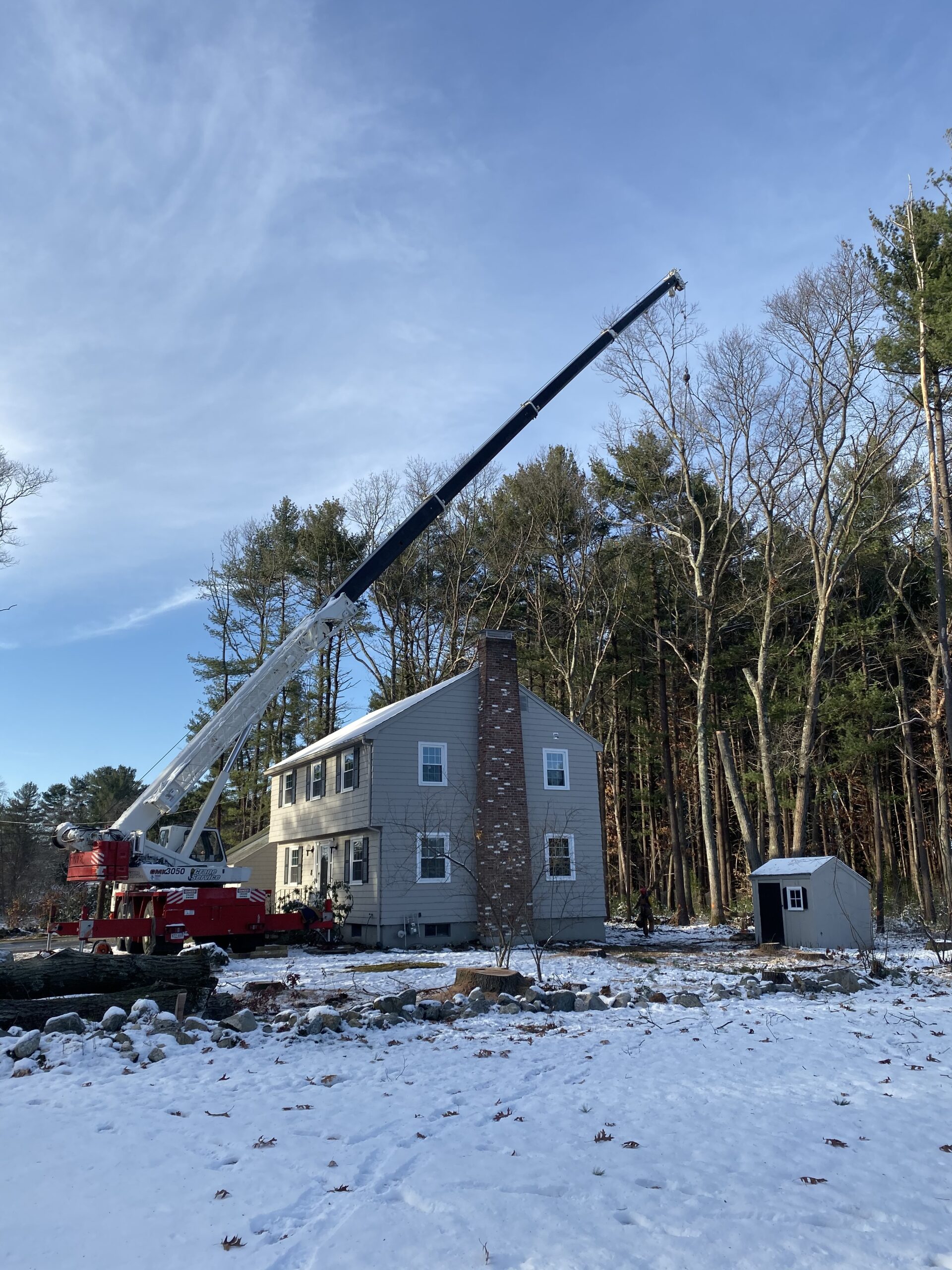 Tree Service / Tree Removal / Yard Expansion in Bedford, MA