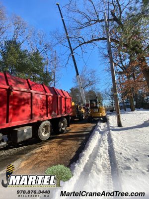 Tree Service / Tree Removal / Crane Service in Billerica, MA.