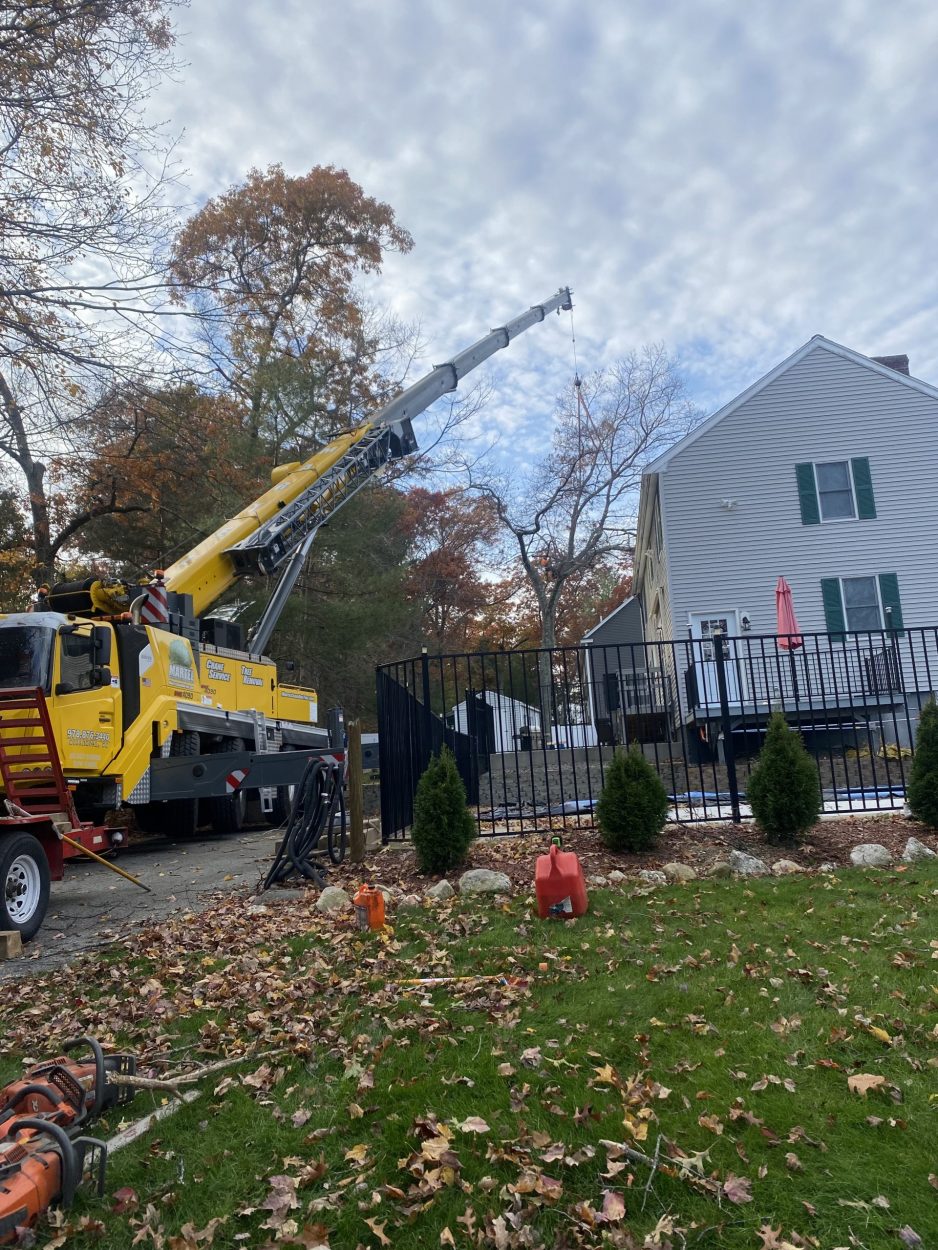 The crew and crane removed trees on a nice fall day at this home in Burlington, MA.