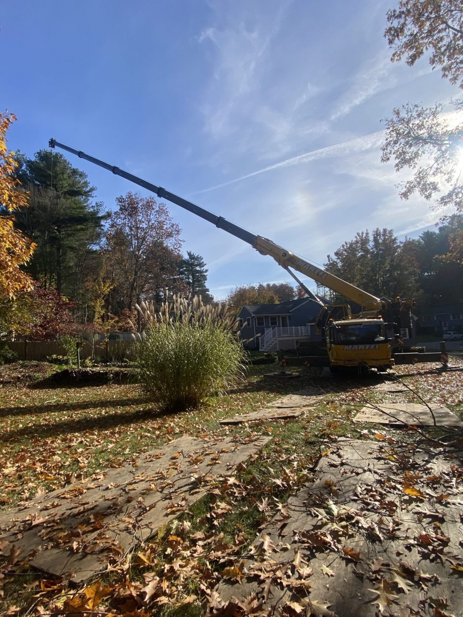 The crew and crane removed trees on a nice fall day at this home in Burlington, MA.