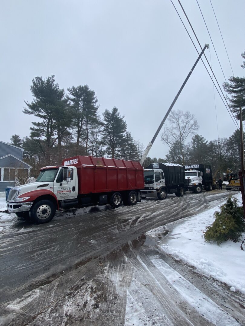 On a snowy, wet day, the crew removed trees in a residential neighborhood in Tewksbury, MA.