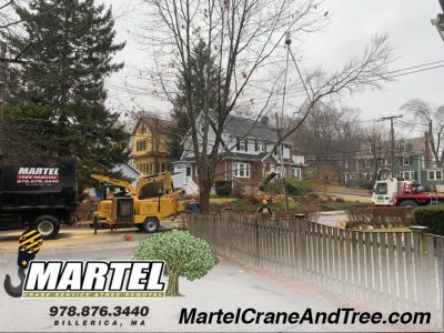 Tree Removal / Tree Service / Crane Service in Belmont, MA
