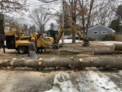30 large trees removed from this property in Chelmsford, MA