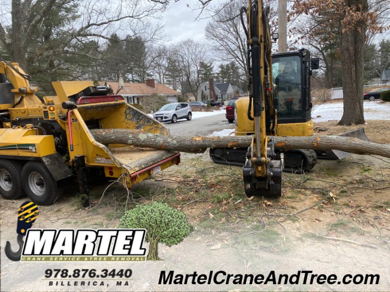 Tree Removal / Tree Service / Crane Service in Westford, MA.