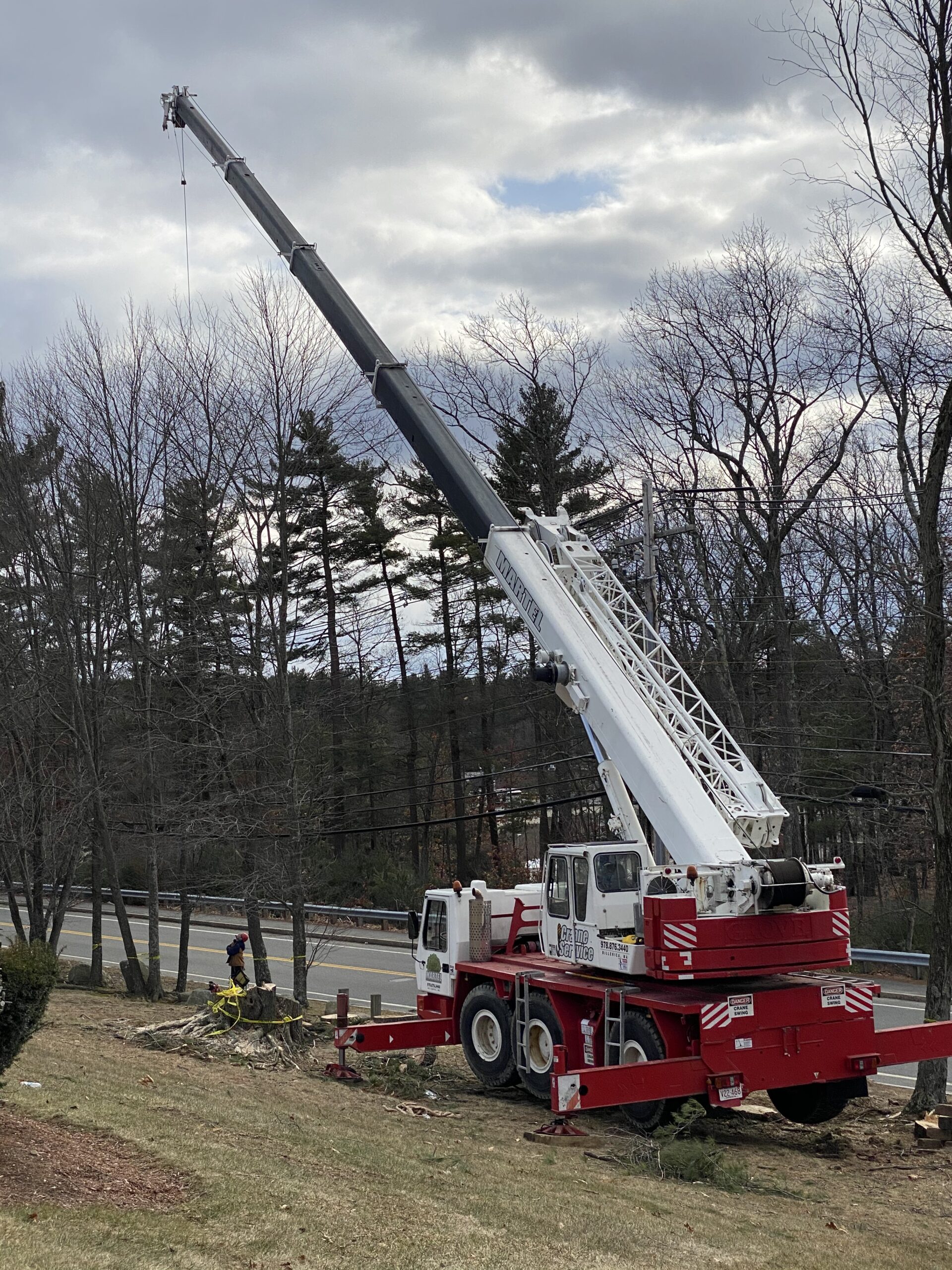 Tree Service / Tree Removal / Lot Clearing in Billerica, MA
