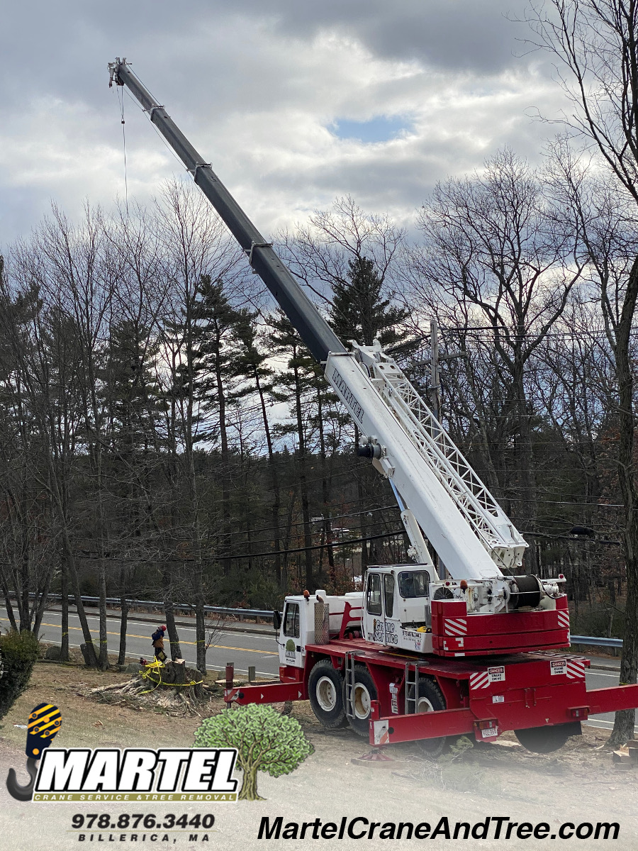 Tree Service / Tree Removal / Lot Clearing in Billerica, MA