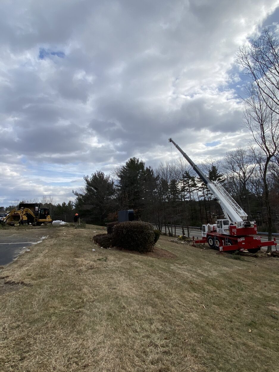 Tree Service / Tree Removal / Lot Clearing in Billerica, MA IMG_1690