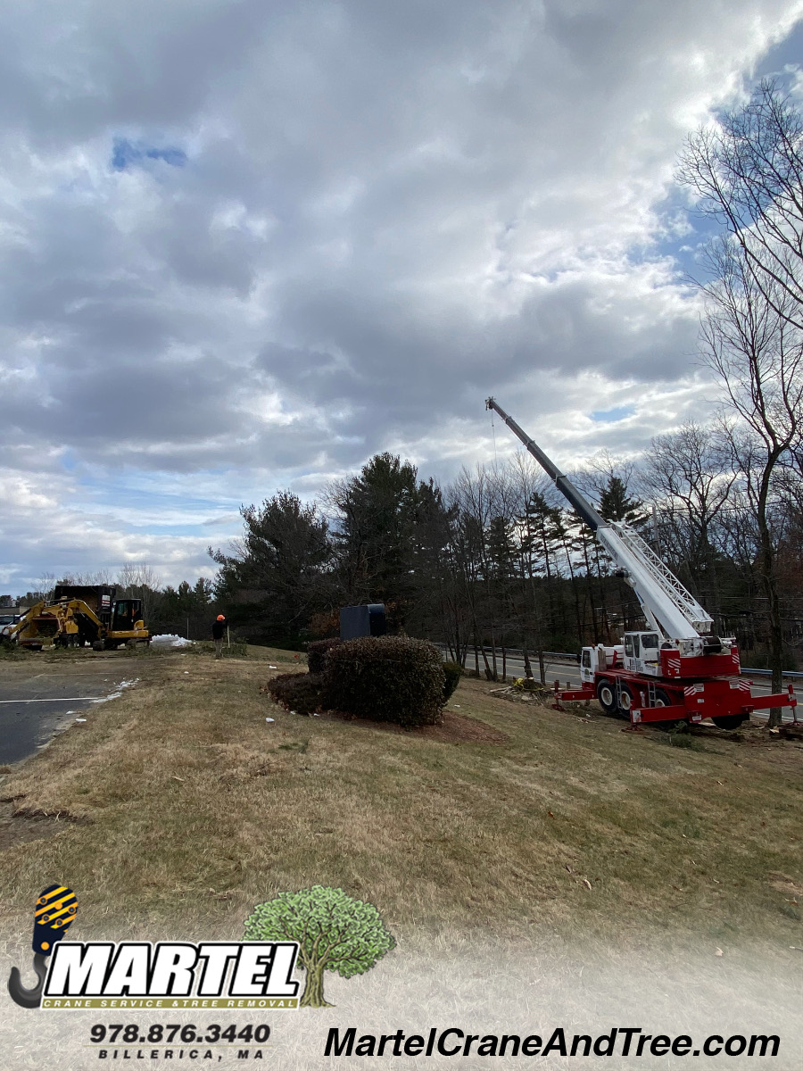Tree Service / Tree Removal / Lot Clearing in Billerica, MA