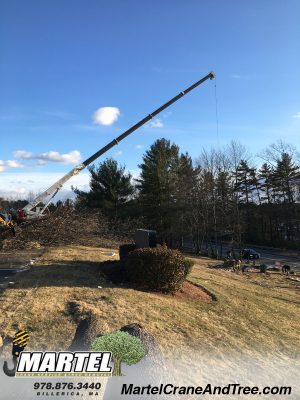 Tree Service / Tree Removal / Lot Clearing in Billerica, MA