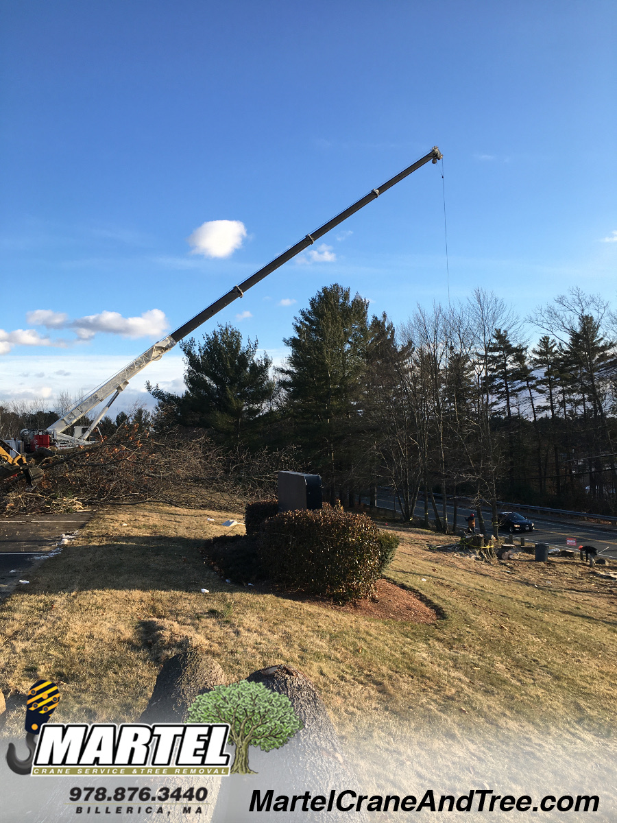 Tree Removal / Tree Service / Crane Service in Westford, MA.
