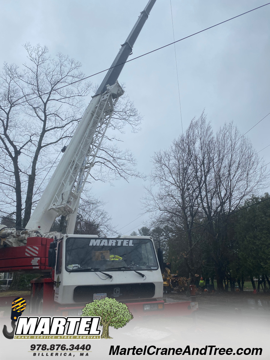 Tree Removal / Crane Service / Tree Trimming in Billerica, MA.